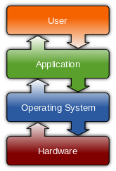 What are some major operating systems used in web servers?